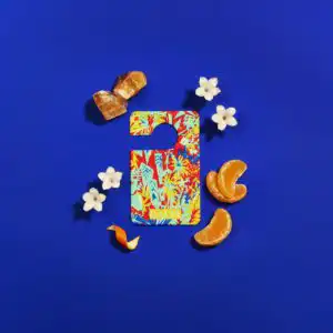 Baija - Parfum voiture - Tangerine Fizz- 1pc